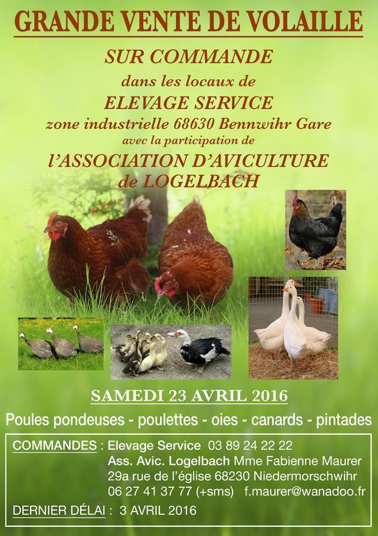 Affiche vente volaille elevage sercice